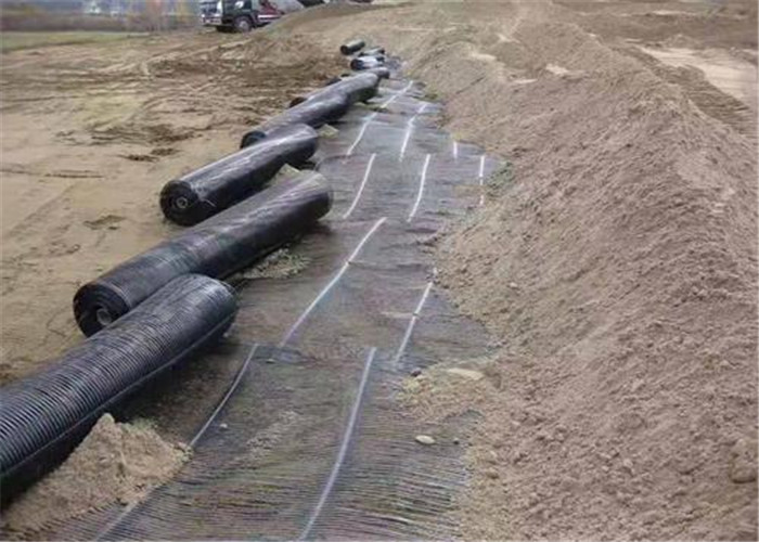 Geotechnical Construction Uniaxial 300kn Plastic Geogrid