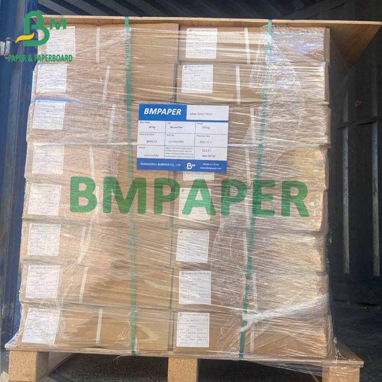 CAD Inkjet Printing Roll