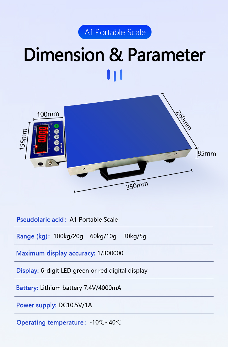 30kg Capacity Industrial Weighing Scale Platforms 260mm*350mm Table Size