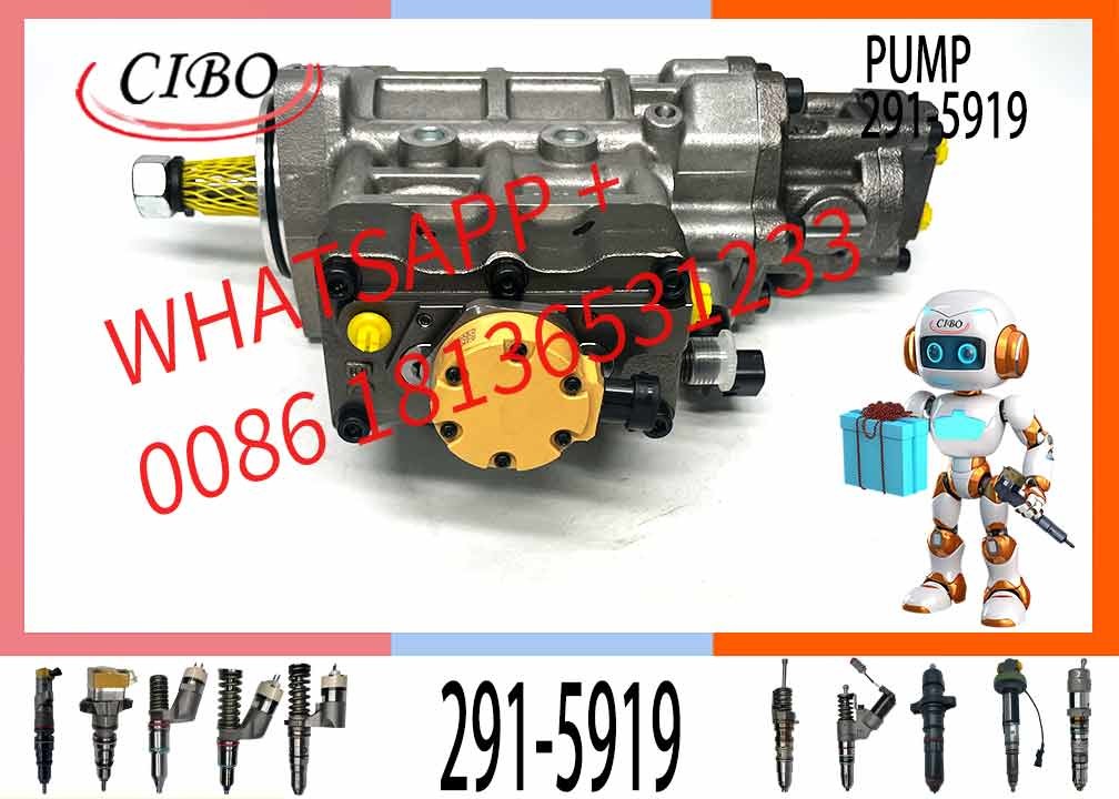 C6.6 Engine Parts Injection Fuel Pump 291-5919 10R-7660 2641A306