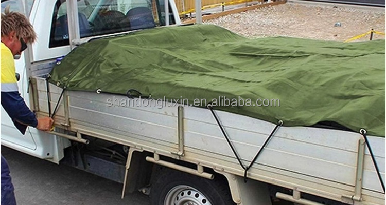 Polyvinyl Chloride Waterproof Tarpaulin 300gsm-1400gsm for Covering Items