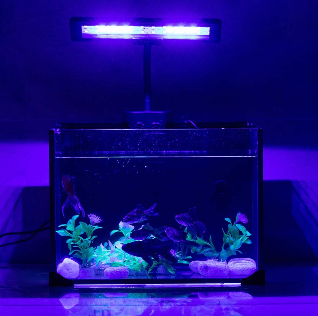 Blue White Gooseneck Clamp RGB Aquarium Light
