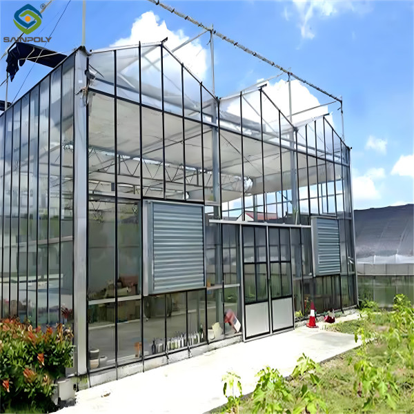 Hydroponic Venlo PC Polycarbonate Solar Glass Greenhouse Customizable