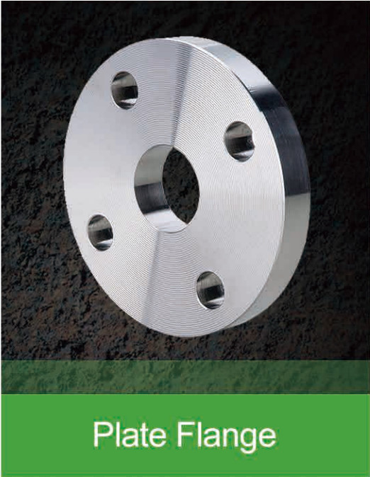 Stainless Steel SA-182 F 304 316 Pipe Flange Customized Size