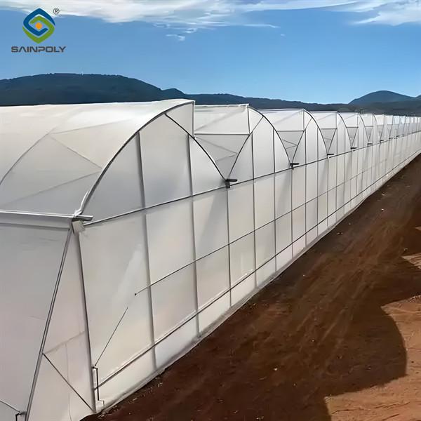 Galvanized Steel Frame Greenhouse multi span greenhouse Film Covering Space