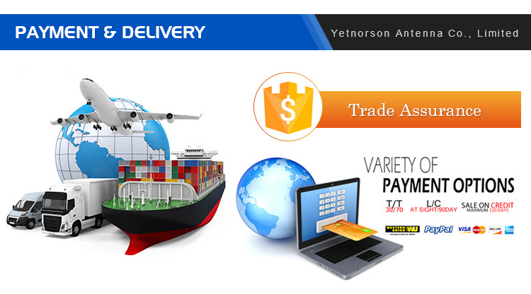 Customizable Connect Type DVB-T2 Indoor TV Antenna for Digital TV Input Impendence 50Ω