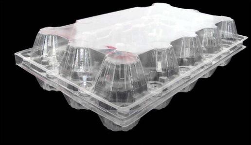 15packs Disposable PET Clear Plastic Egg Tray 71mm Square Egg Tray Holder