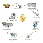 Automatic Potato Processing Line 200 - 5000Kg Per Hour Capacity