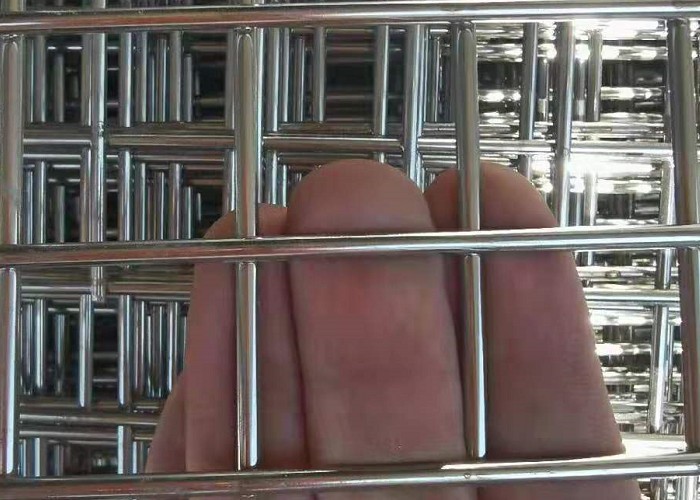 3mm 2x4 3x3 5x5 Stainless Steel Welded Wire Mesh Panel