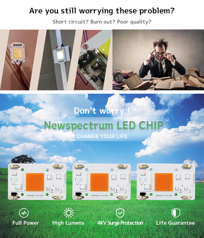 AC110V AC COB LED 80W Full Spectrum Without Soldering Terminal