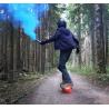 Buy cheap Balancing 1 Wheel Powered Skateboard 18 To 25km 700W from wholesalers