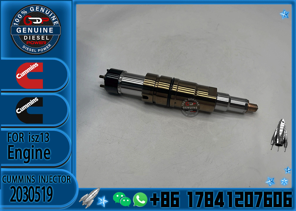 2029622 Genuine Diesel Common Rail Fuel Injector 1948565 2030519 2031836 2031835 2086663