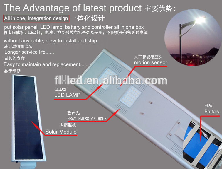 30W All in on Solar LED Garden Lights, All in on Solar LED Garden Lights manufacturer