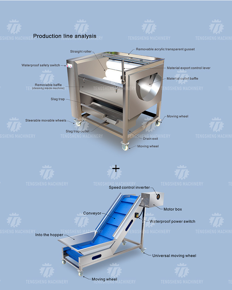 0.75KW 0.8 Tons / Hours Vegetable And Fruit Washing Machine