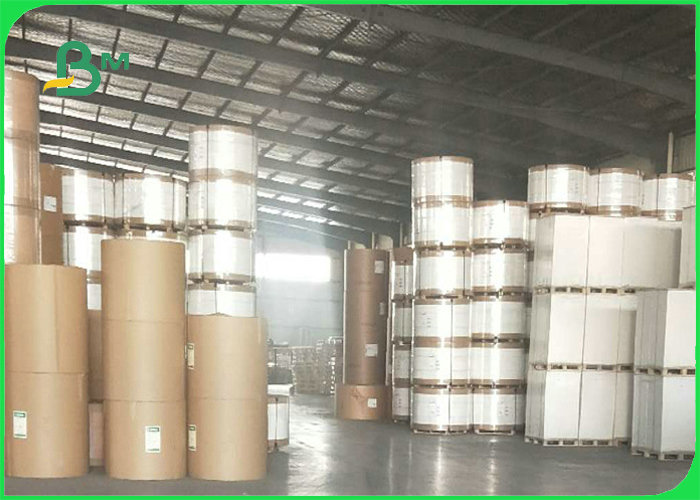 330GSM / 350GSM+18g PE Coated Paper For Coffee Hot Cups Waterproof & Durable