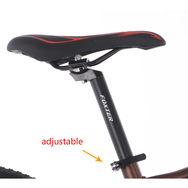 20 Inch 6 Speed MTB Mountain Bikes With Aluminum Alloy Rim