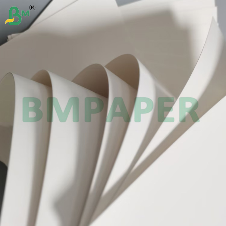 350g Coated Container Board C1S Food Grade Virgin Wood Pulp Card