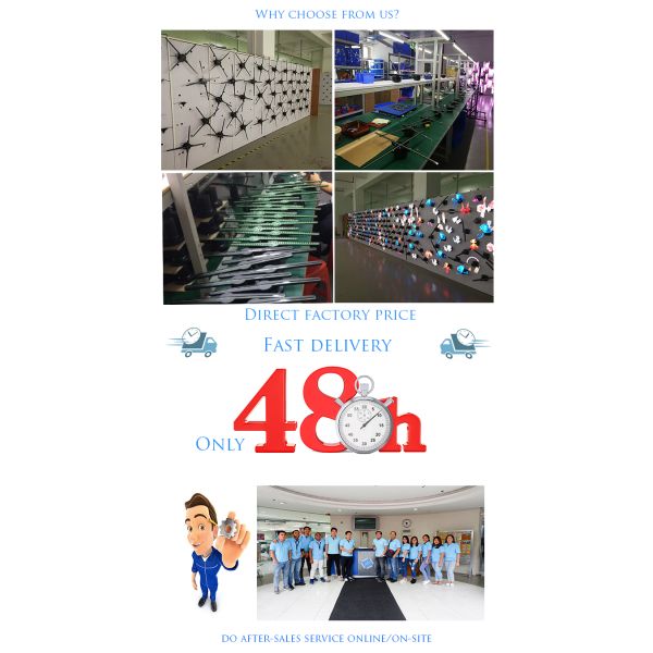 Newest 3d Hologram Fan Backpack Led Fan 32cm 42cm 50cm 65cm for Advertisement Hologram Projector Display Equipment for Event