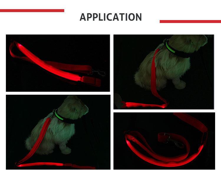High Visibility LED Dog Leash For Pet Safe And Night Walking Eco Friendly