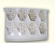 Heart-Shaped Honey Comb Set Plastic Honey Comb Box Container for Beekeeping 0