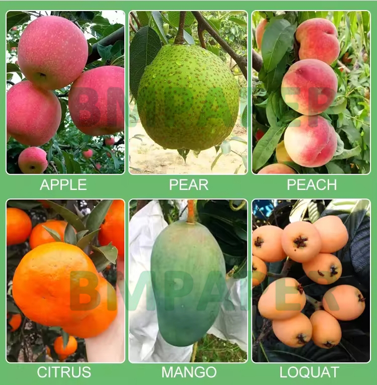 56gsm Waterproof Growing Paper For Mango Fruit Covering Bags UV Resistant