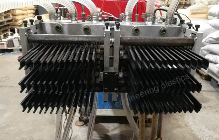 Extrusion Mould of PA Heat Insulation Strips Extruder Machine