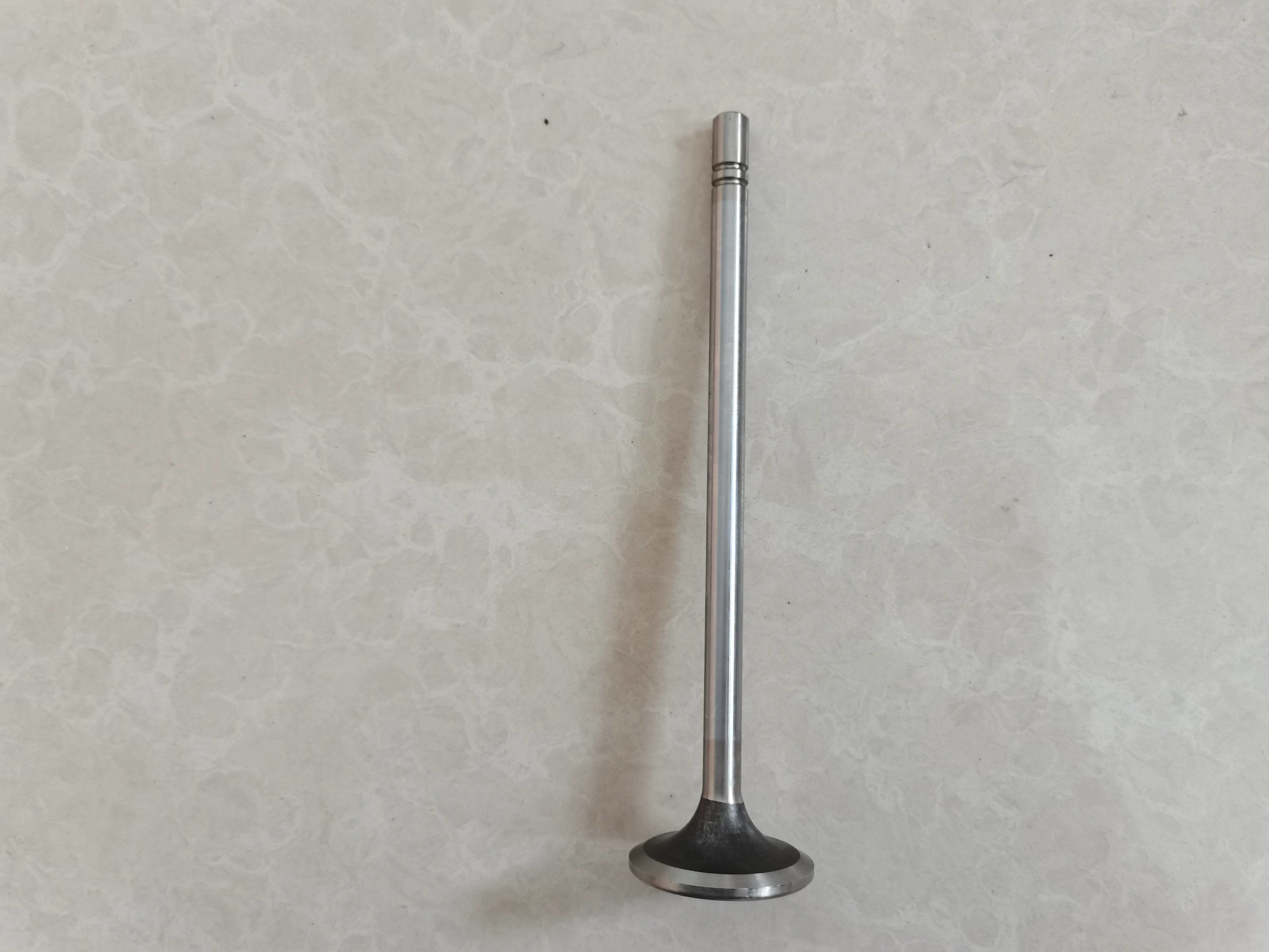 Engine Intake Valve Exhaust Valve Parts 252-7802 224-3030 Customized