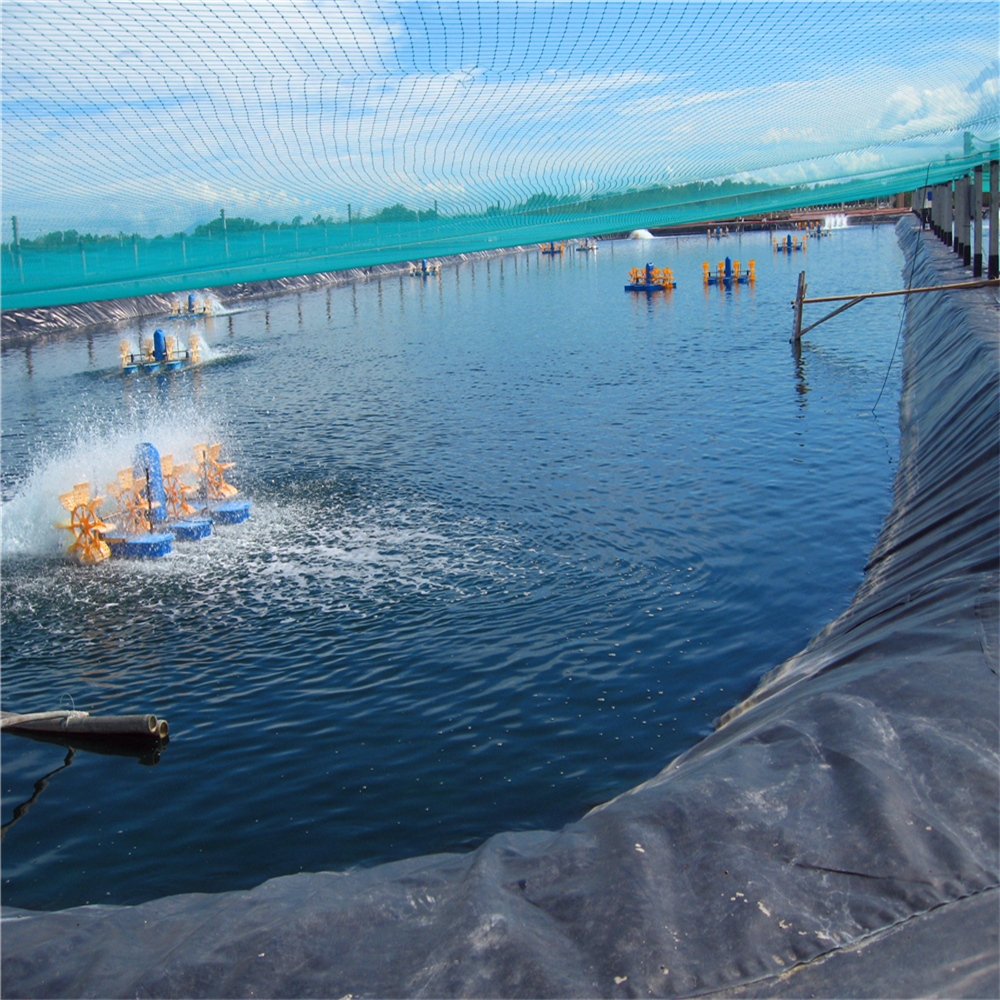 Water Fish Tanks Liner PONDLINER HDPE Geomembranes in Black White Green and Blue