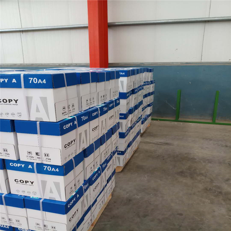 Offset Printing Compatible A4 Copy Paper Jumbo Roll with Wood Pulp 70gsm to 80gsm