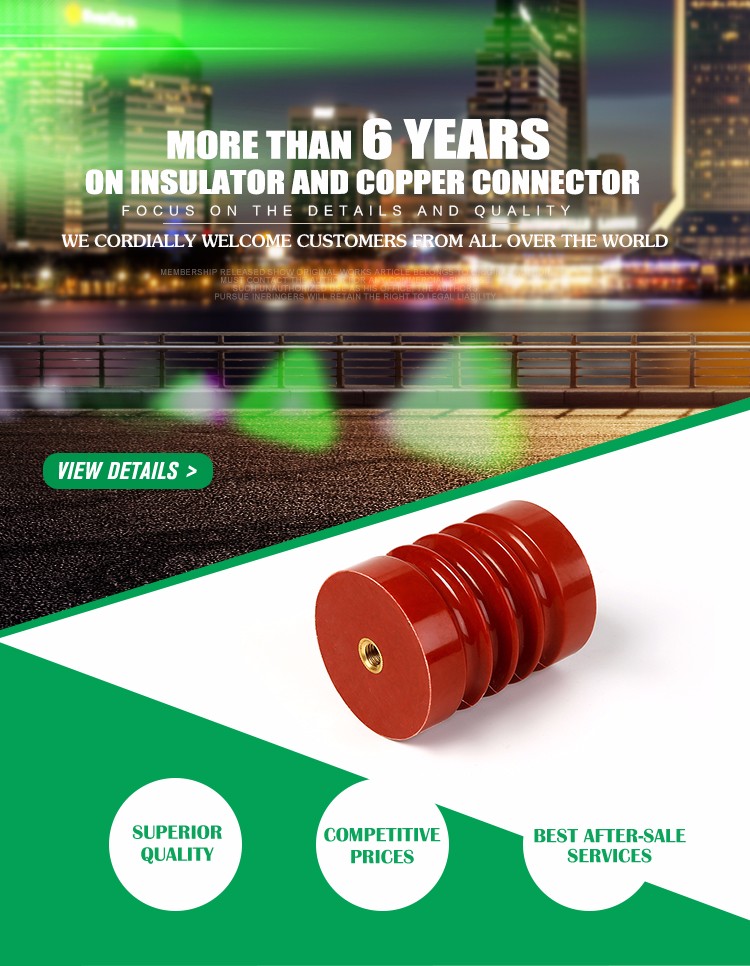 High Voltage Epoxy Resin Insulator 6kv Support