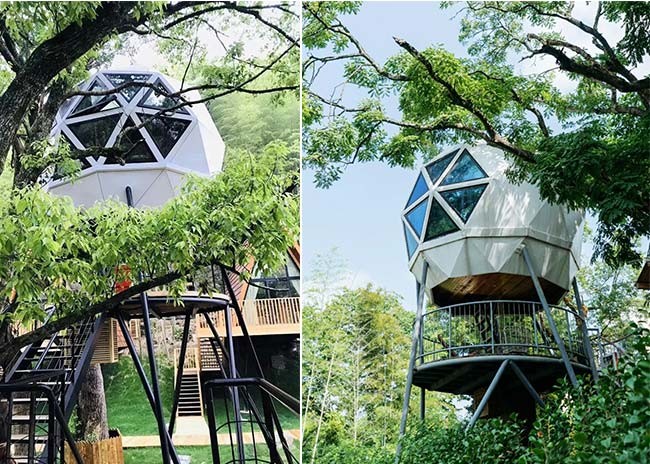 Light Steel Frame Prefab Bungalow Homes Tree Dome Hotel Cabin Garden House