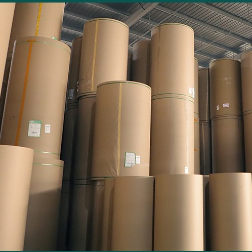 Factory Greaseproof Waterproof Single Double Wall PE Coated Kraft Paper Roll Food Grade Raw Material For Paper Cup