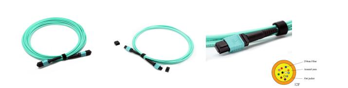 12 Fibers MTP Female To MTP Female OM3 3.0mm LSZH MTP Patch Cord Custom Meters