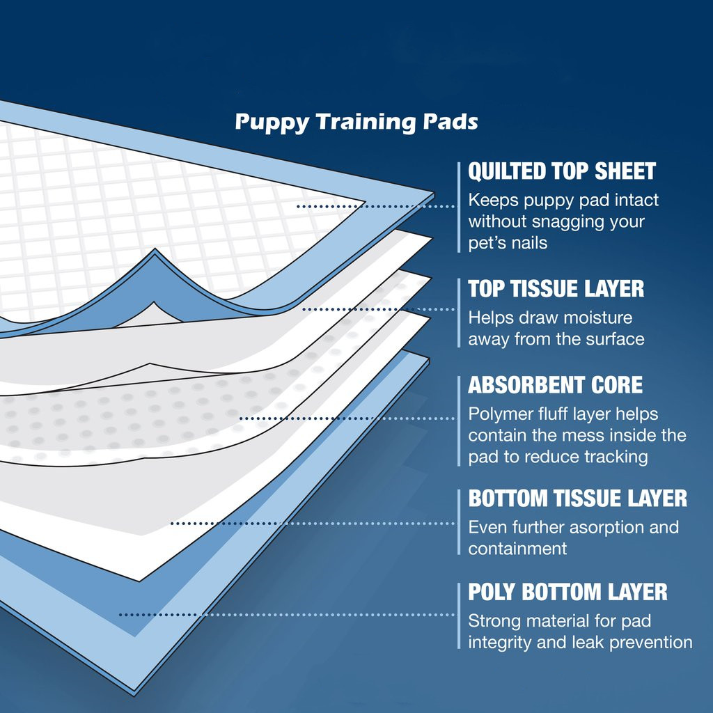 Leakage Proof Super Absorbent Dog Diapers OEM Disposable Nappies For Cats