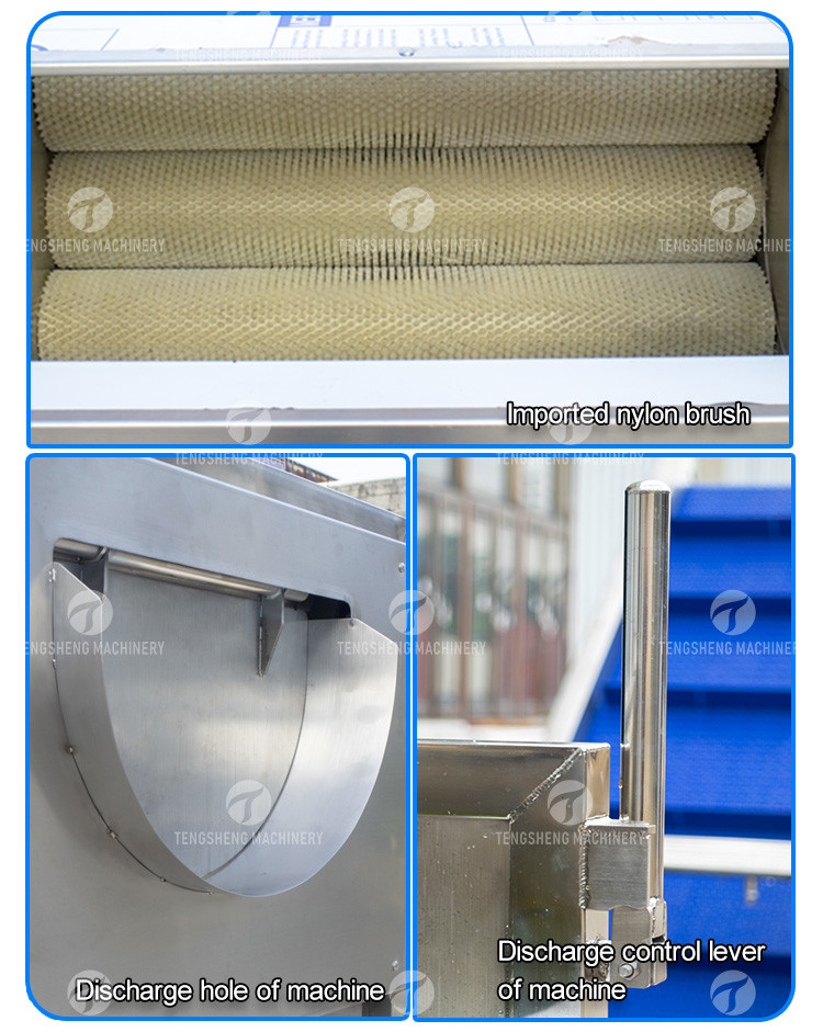 Air Brush Cleansing Citrus Processing Line , Anti Abrasion Sullage Removal Potato Processing Line