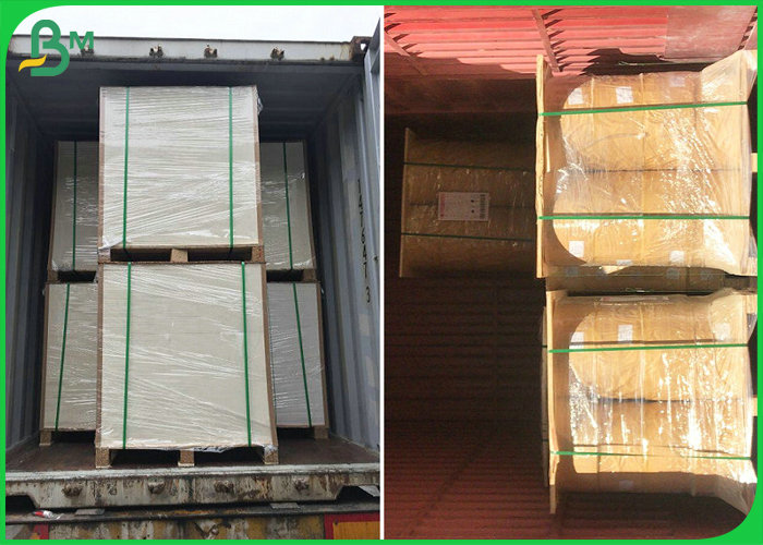 70*100cm 50gsm - 300gsm FDA FSC Food Grade PE Coated Paper For Packing Food