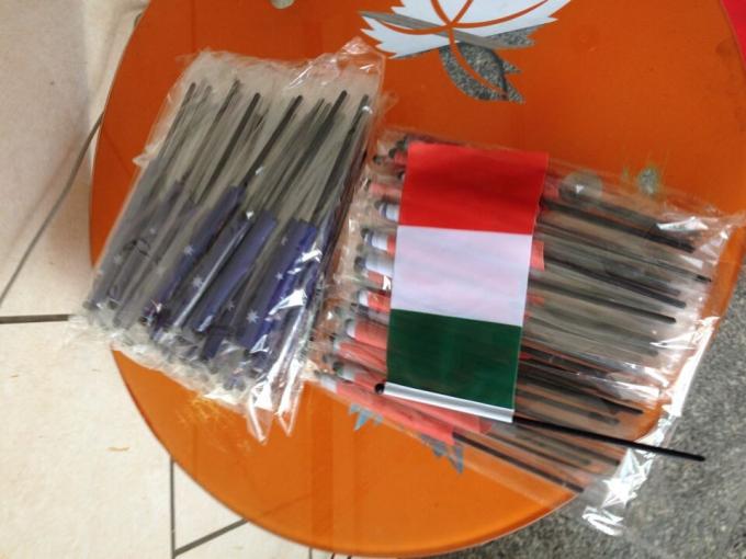 Small Custom Outdoor Advertising Flag , Hand Held Flags 110g Polyester Printing