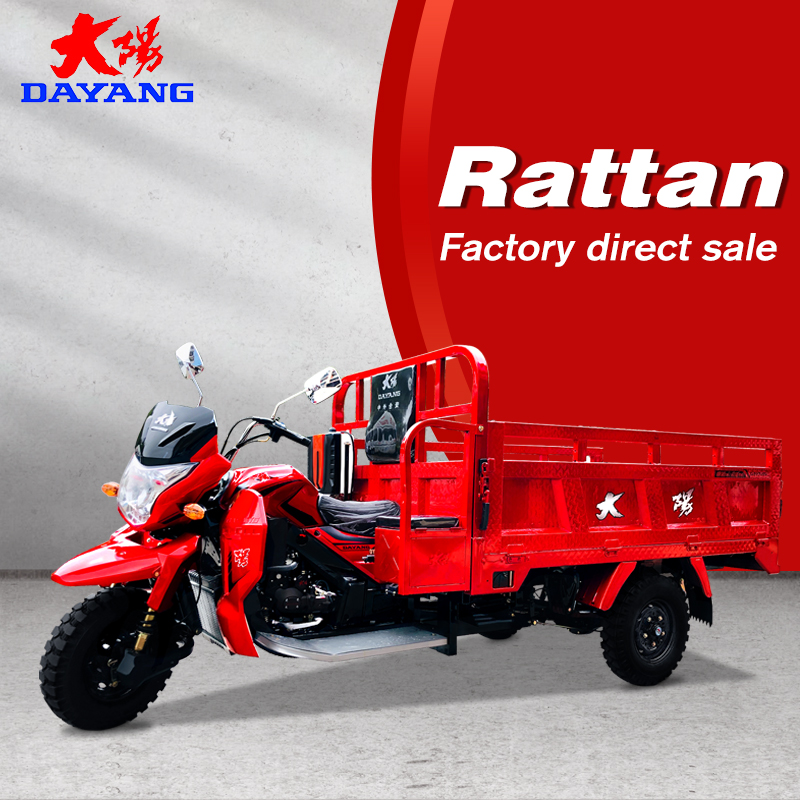 250CC Gasoline Water Cooled Motorized Tricycles 2021 Design for Adult Commuters