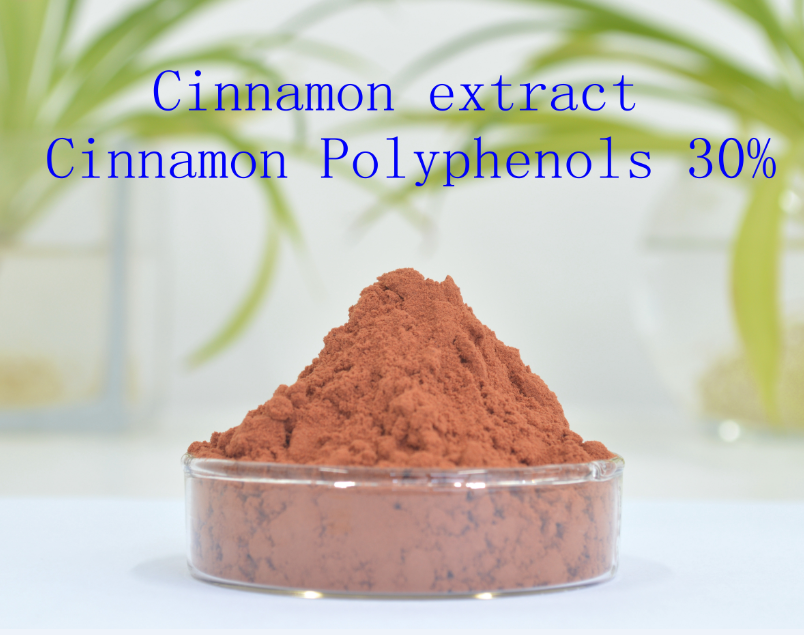 Highest Content/Cinnamon Bark Extract Polyphenols 20%-30% powder