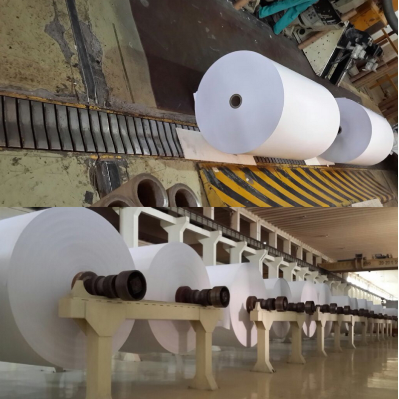 58gsm 62gsm White Bpa Free Thermal Paper Roll