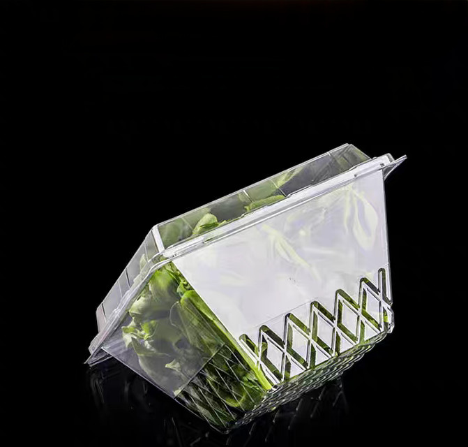 Customized square anti fog PET transparent vegetable lock fresh box disposable blister herb clamshell packaging lettuce plastic packaging