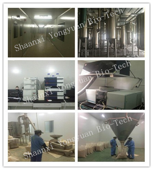 Yeast β-glucan, new resource food, enhance Immunity, anti-tumor, anti-radiation, Oat β-glucan, hot selling