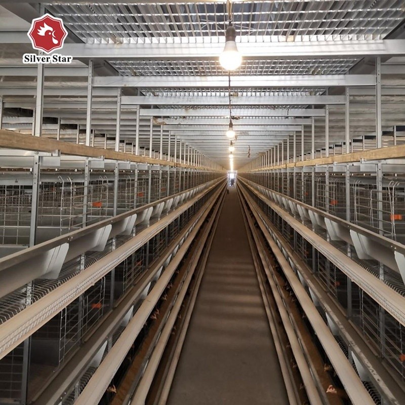 1950×2300×2000 Battery Egg Layer Cage Farming Equipment And Egg Collection Disinfection System