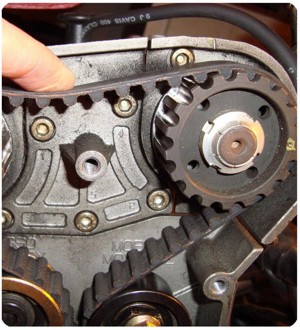 White TIMING BELT PU HTD 5M for Industrial Timing Precision and Durability