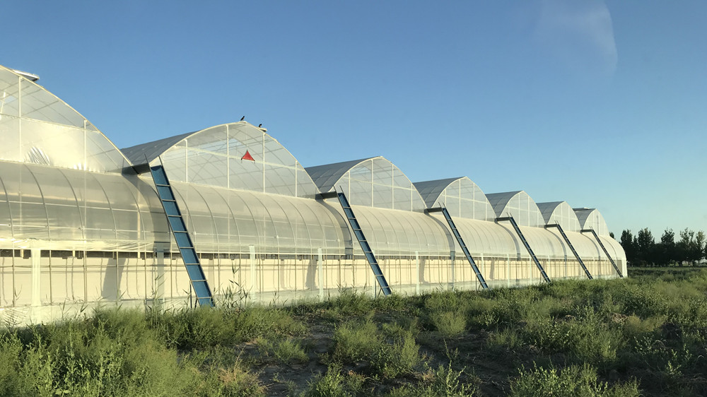Pressure-Resistant Glass House for Large-Scale Growth of Vegetable Fruits and Flowers