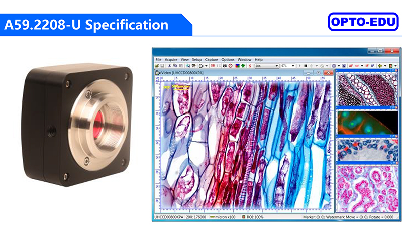 OPTO EDU A59.2208-U Usb 2.0 Cmos Digital Microscope Camera 12M