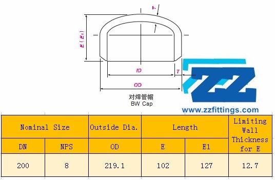 UNS S32550 Duplex Steel Pipe Fittings Cap 8 Inch Size SCH10S ASME B36 19