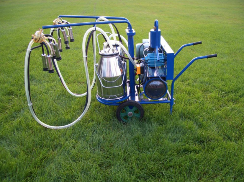 Stainless Steel Electric Dairy Cow Milking Machine 220V