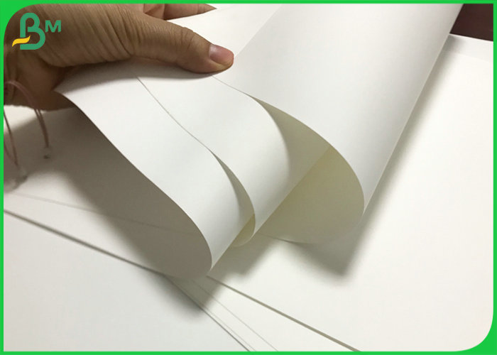 Non Tear 100um 130um Thick PP Polypropylene Synthetic Paper Rolls 1090mm Width 