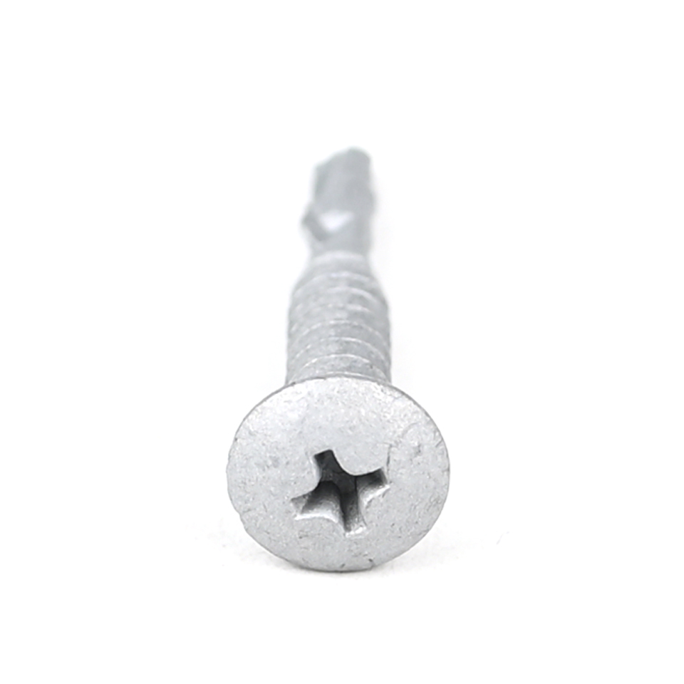 Standard Custom Screw Stainless Steel Phillips Truss Head Self Drilling Screw Tapping Screw